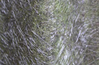 Sutton Benger fibreglass roof work